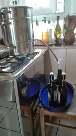 Hollersaft.webp
