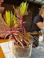 20190728_094412.webp