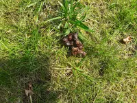 20190730_162908(0).webp