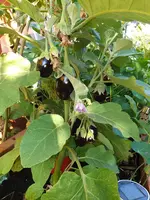 20190730_181411_resized.webp