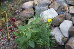 DSC08140.JPG