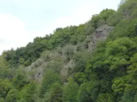 P1130546Saarschleife.webp