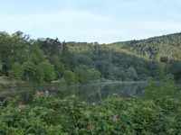 P1130567Mettlach.webp