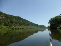 P1130683.webp