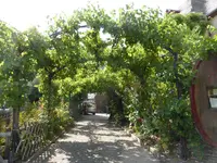 P1130699Neumagen.webp