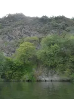 P1130752Loreley.webp