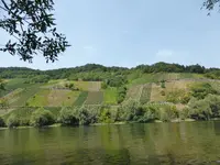 P1130765.webp