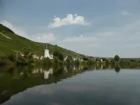 P1130766Kesten.webp