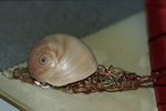 DSC08150.JPG