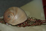 DSC08154.JPG