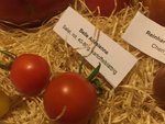 IMG_2195.JPG