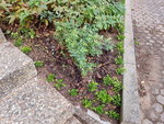 20190731_085308.jpg