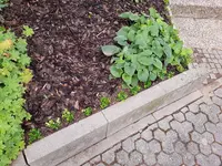 20190731_084753.webp