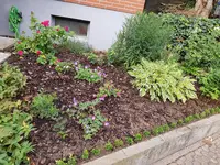20190731_084830.webp