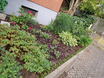20190731_084825.jpg