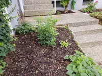 20190731_085327.webp