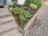 20190731_084808.webp