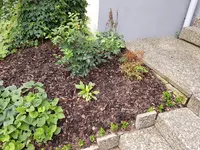 20190731_085317.webp