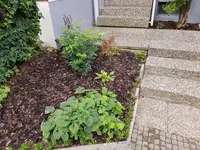 20190731_084803.webp