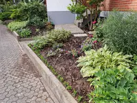 20190731_084848.webp