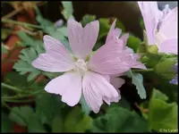 c023.webp