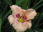 sil. jerome pillow 1_1067x800.JPG