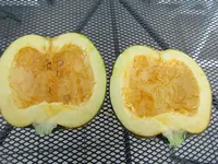 IMG_0775.webp