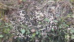 20190731_165759.jpg