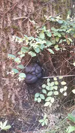 20190731_165817.webp