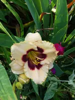 20190730_104749.webp