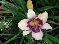 20190730_104553.webp