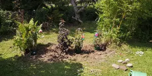 IMG-20190731-WA0019.webp