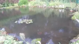 20190731_194914.webp