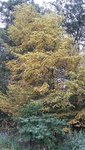 20190731_195129.jpg