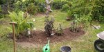 IMG-20190801-WA0001.jpeg