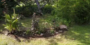 IMG-20190801-WA0009.webp