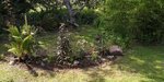 IMG-20190801-WA0009.jpeg