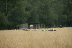 DSC08156.JPG