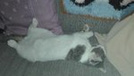 IMG_20190731_214442.jpg