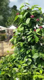 20190801_113704.jpg