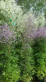 20190801_113747.webp