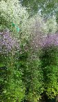 20190801_113747.jpg