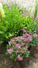 20190801_113908.webp