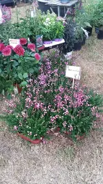 20190801_114258.webp