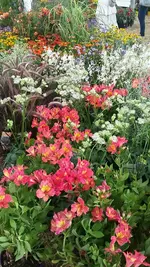 20190801_114448.webp