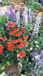 20190801_114456.webp