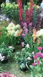 20190801_130947.webp