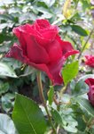 20190716_182448.jpg