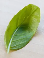 PBG02798.jpg
