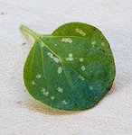 PBG02800.jpg